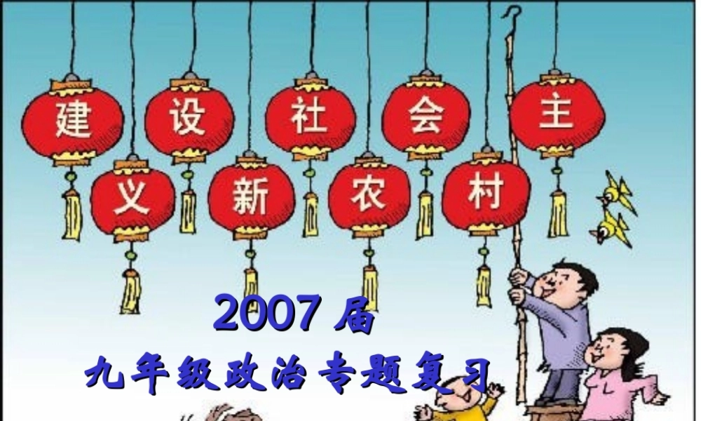 中考政治新农村建设课件