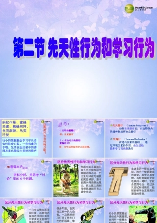 八年级生物上册 5.2.2 先天性行为和学习行为课件 新人教版 课件