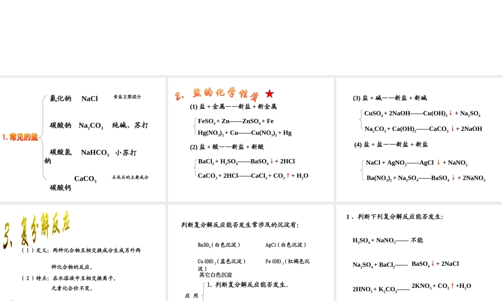 中考化学盐、化学肥料总复习课件