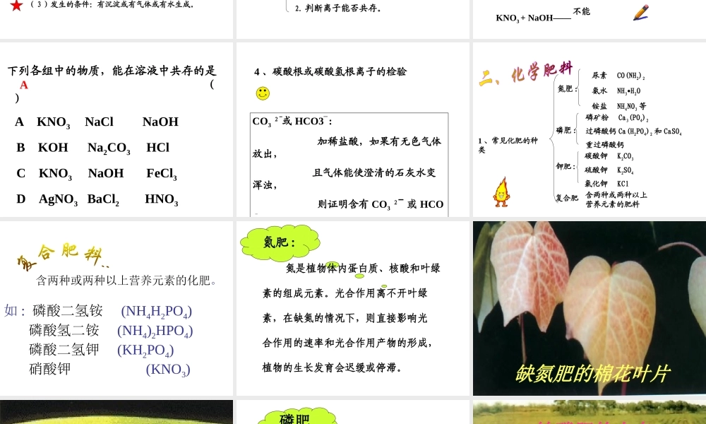 中考化学盐、化学肥料总复习课件