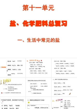 中考化学盐、化学肥料总复习课件