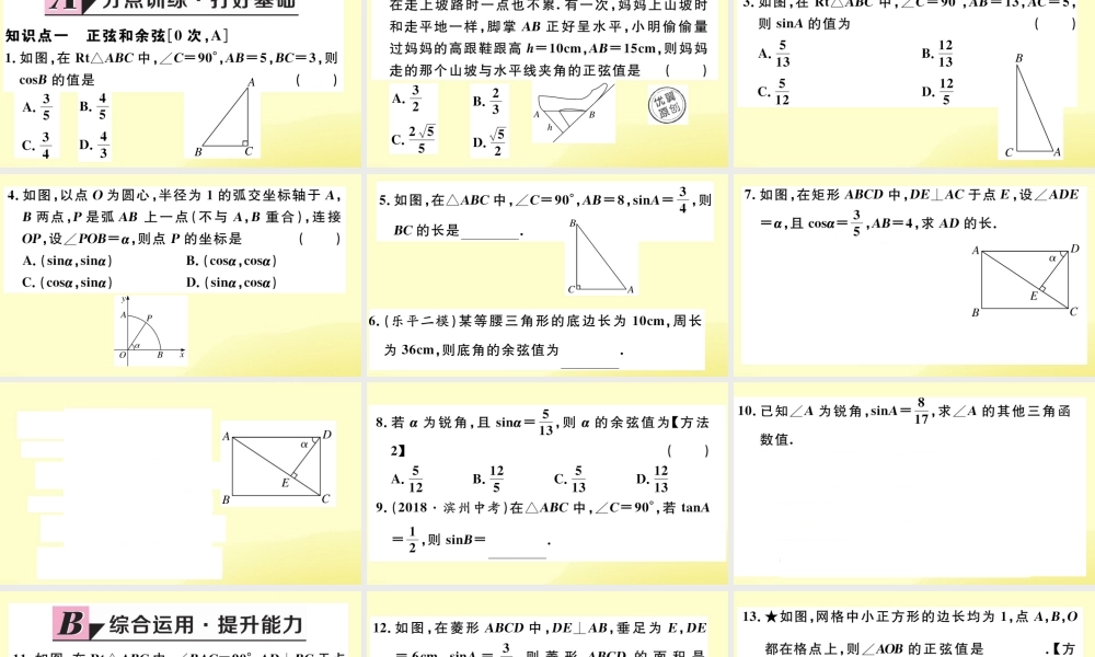 九年级数学下册 第一章 直角三角形的边角关系 11 锐角三角函数 第2课时 正弦与余弦习题讲评课件 (新版)北师大版 课件