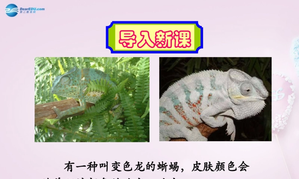 九年级语文下册 7(变色龙)课件2 新人教版 课件