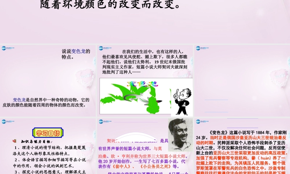 九年级语文下册 7(变色龙)课件2 新人教版 课件