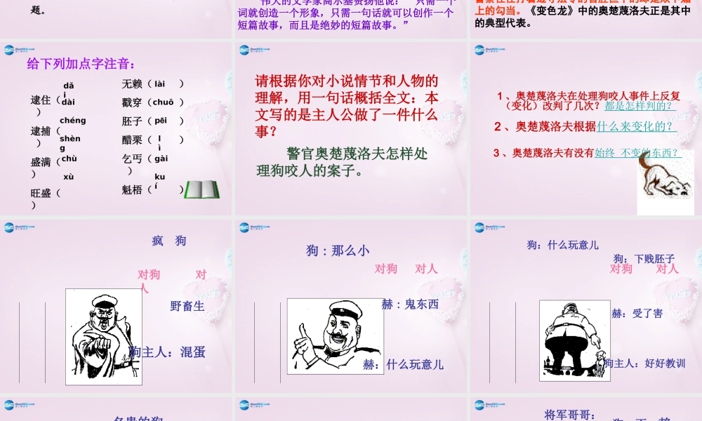 九年级语文下册 7(变色龙)课件2 新人教版 课件