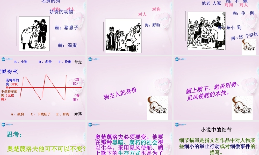 九年级语文下册 7(变色龙)课件2 新人教版 课件