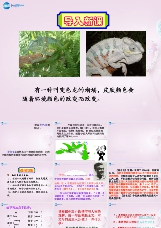 九年级语文下册 7(变色龙)课件2 新人教版 课件