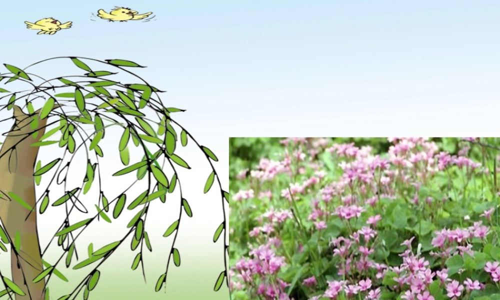 《找春天》PPT课件2[1]