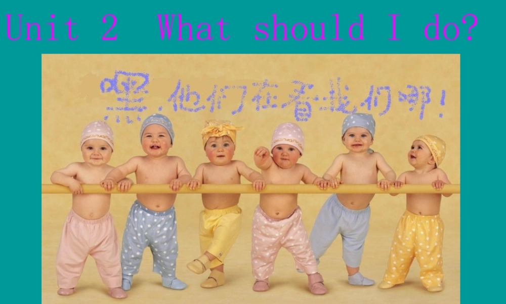 八年级英语下册 Unit 2 What should I do 课件 人教新目标版 课件