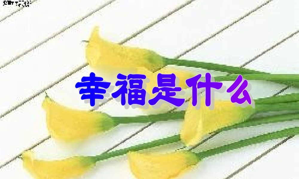 幸福是什么 课件