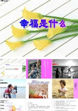 幸福是什么 课件