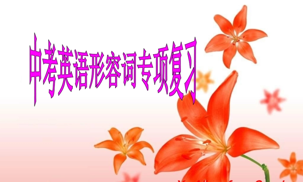 形容词复习课件