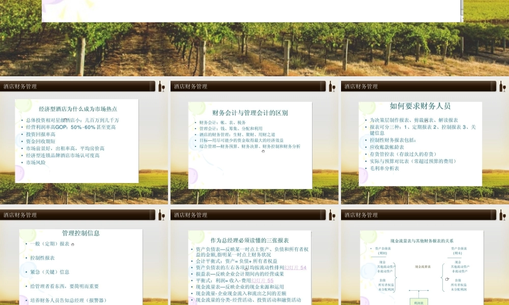 【酒店精品】经济型酒店店财务管理