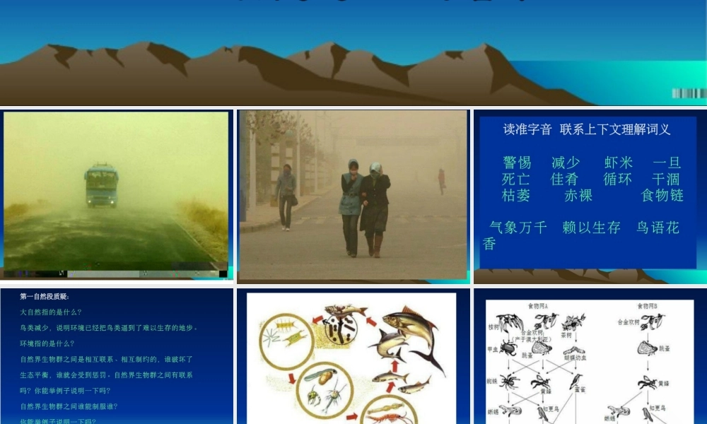 《警惕大自然的报复》课件