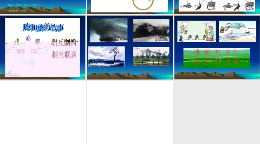 《警惕大自然的报复》课件