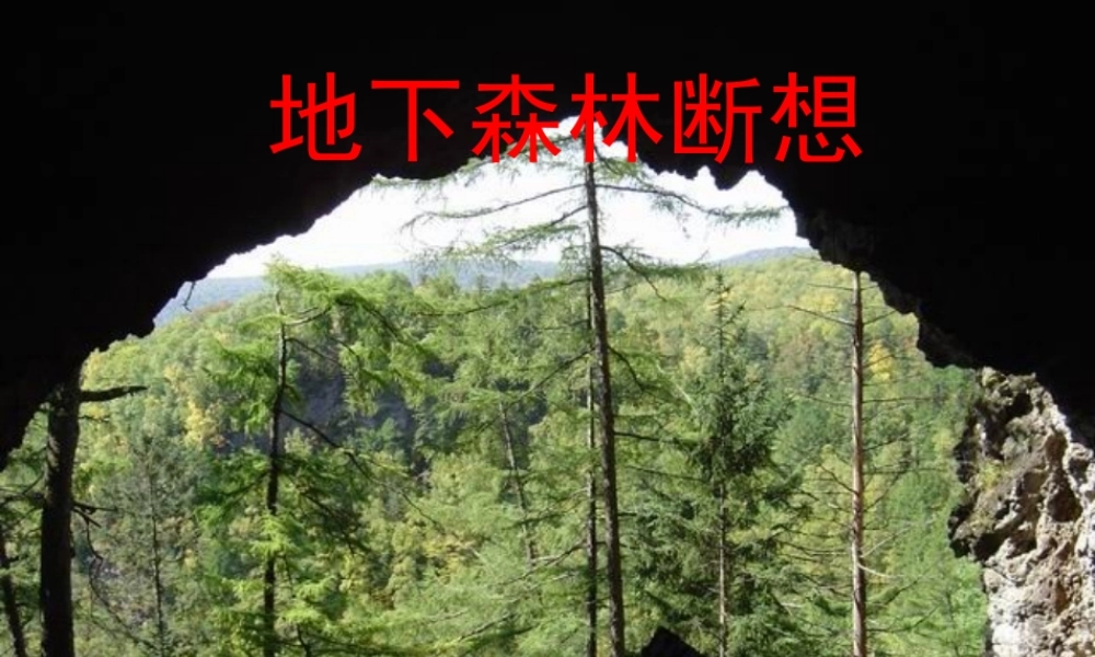 九年级语文下册 第11课(地下森林断想)课件 新人教版 课件