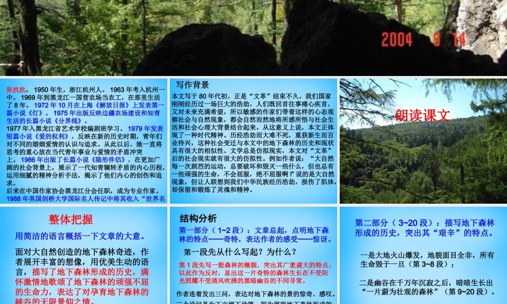 九年级语文下册 第11课(地下森林断想)课件 新人教版 课件