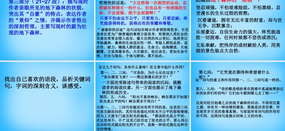 九年级语文下册 第11课(地下森林断想)课件 新人教版 课件