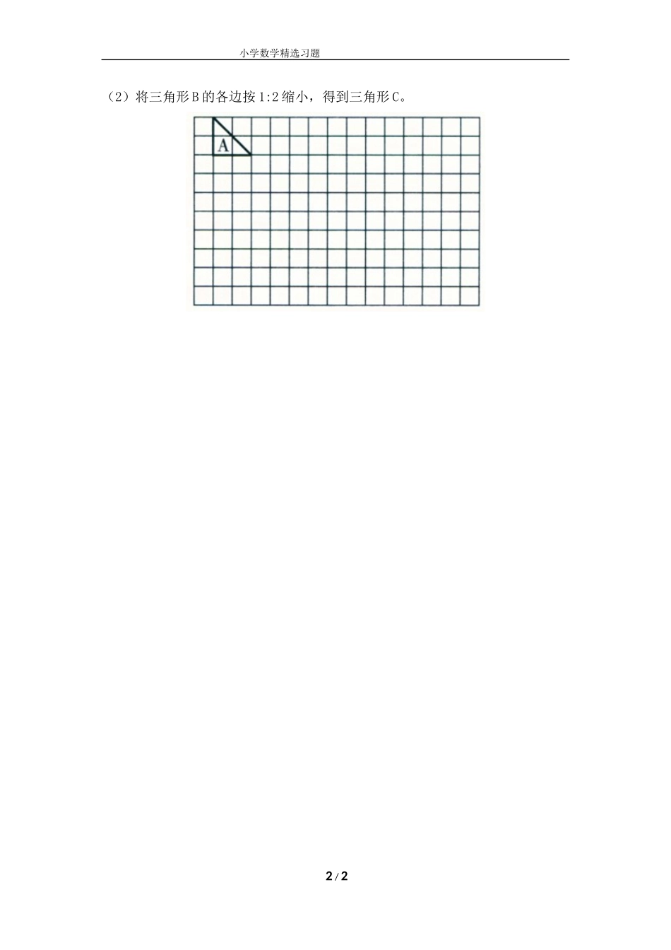 《图形的放大和缩小》综合练习_第2页