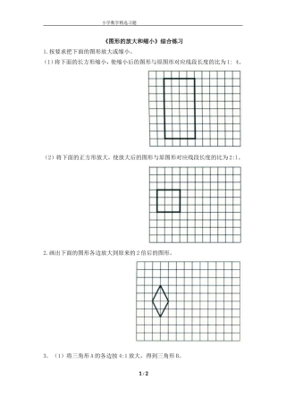 《图形的放大和缩小》综合练习