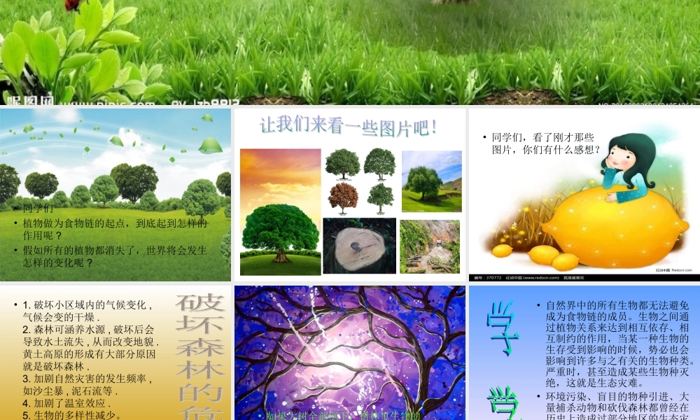 假如大树都倒下