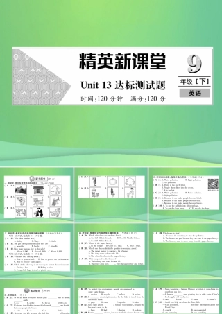 九年级英语全册 Unit 13 We re trying to save the earth达标测试卷课件 (新版)人教新目标版 课件