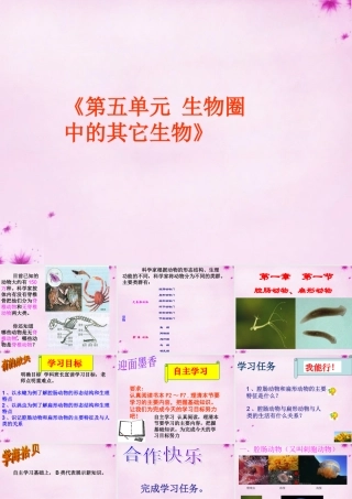 八年级生物上册 第五单元 第一章 第一节 腔肠动物和扁形动物课件 (新版)新人教版 课件