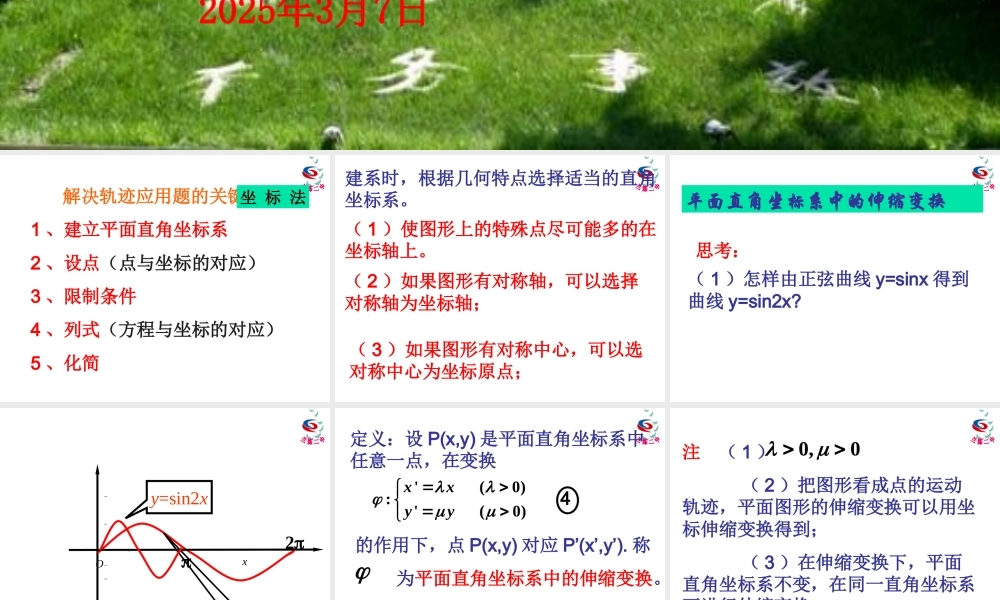 平面直角坐标系中的伸缩变换