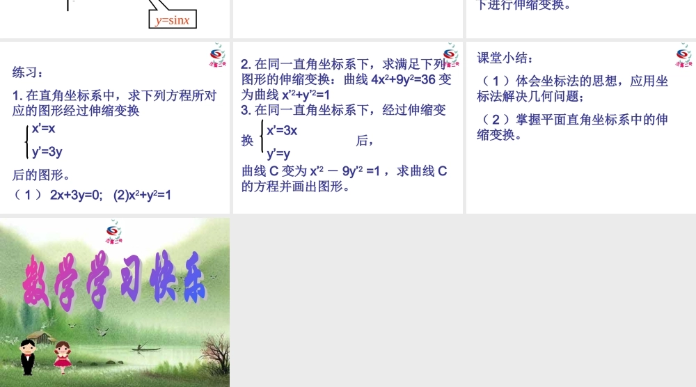 平面直角坐标系中的伸缩变换