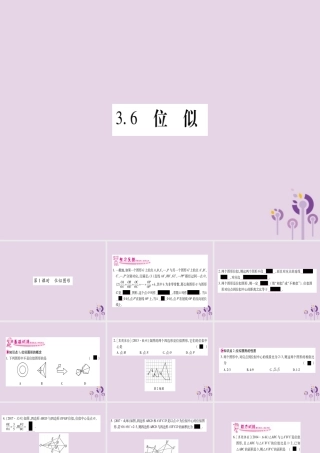 九年级数学上册 第3章 图形的相似 36 位似 第1课时 作业课件 (新版)湘教版 课件