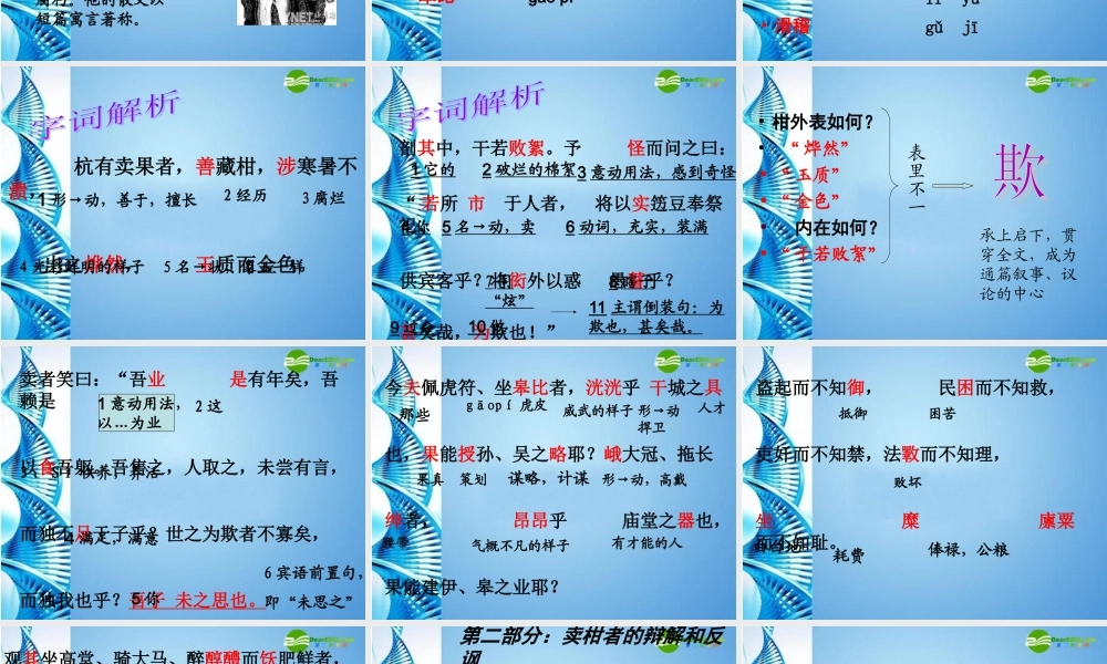 九年级语文下册 第四单元第19课(卖柑者言)课件 鲁教版 课件