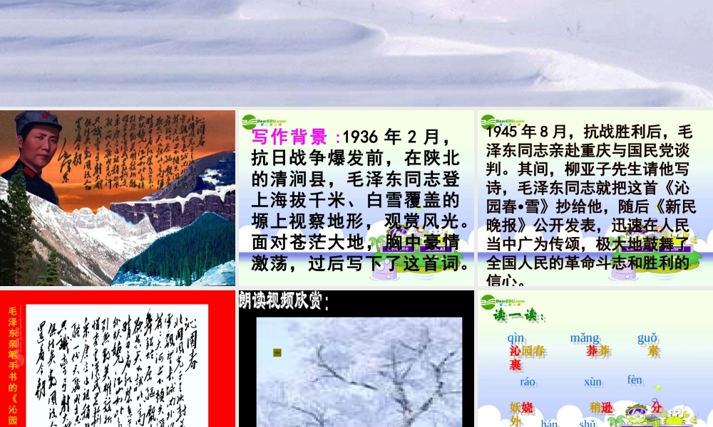 九年级语文上册 (沁园春・雪 课件
