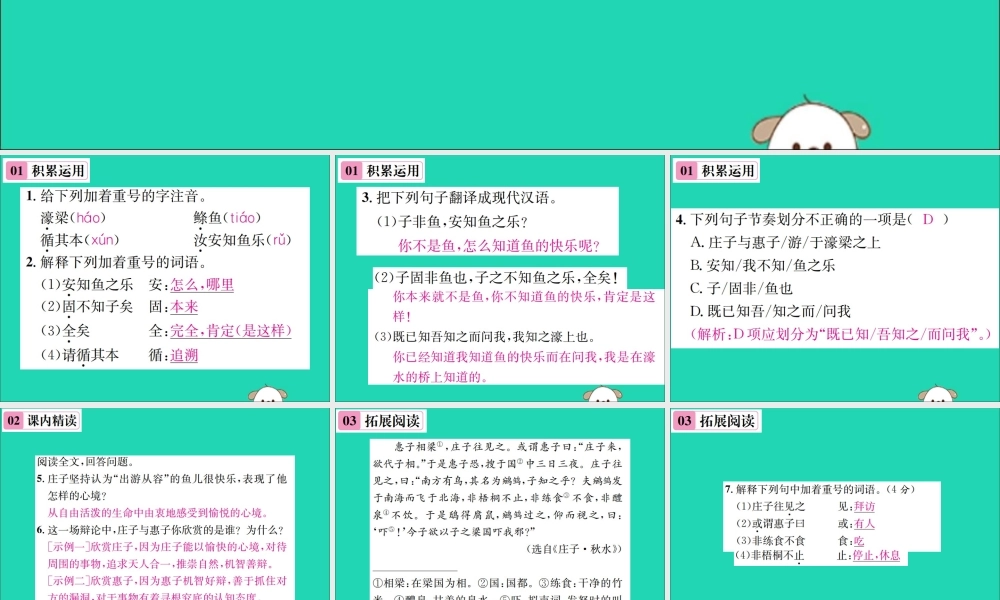 八年级语文下册 第六单元 21(庄子)二则 第2课时 庄子与惠子游于濠梁之上课件 新人教版 课件