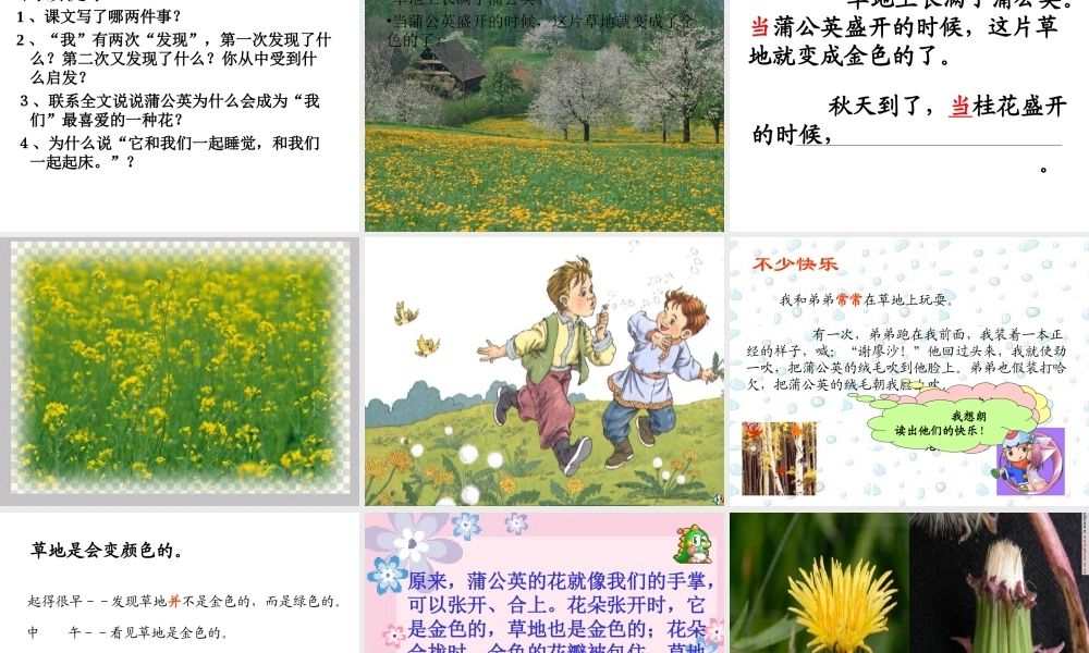 2金色的草地-(2)