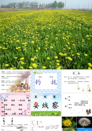 2金色的草地-(2)
