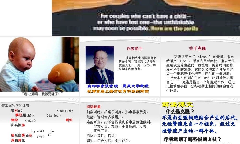 八年级语文上册(奇妙的克隆)课件 人教新课标版 课件