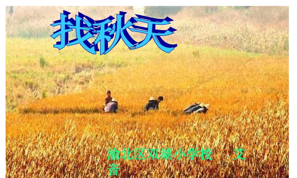 口语交际找秋天