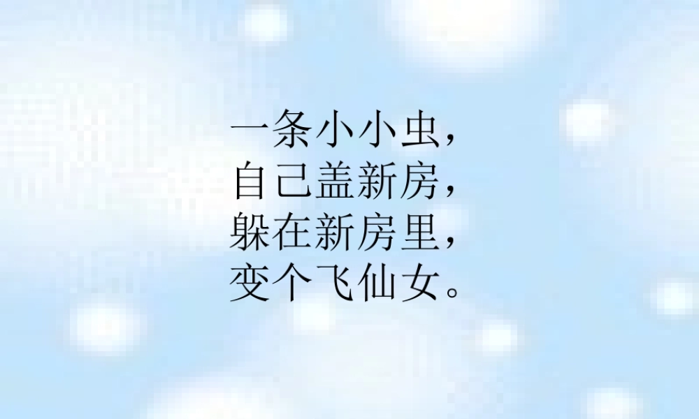 《蚕姑娘》ppt课件