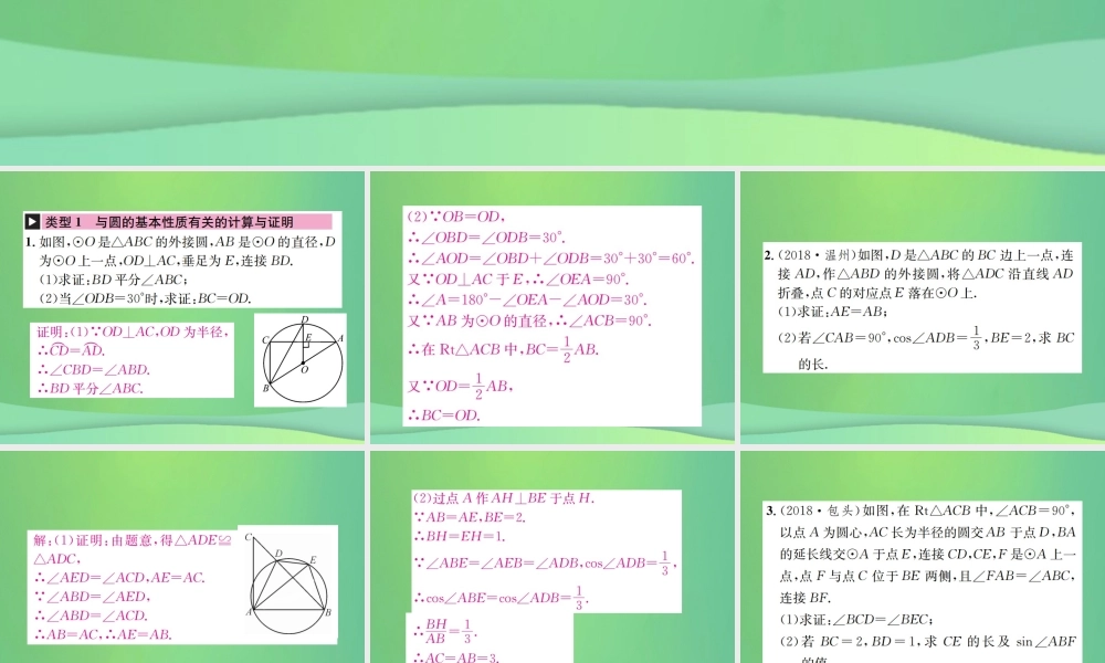 中考数学复习 第六单元 圆 滚动小专题(七)课件