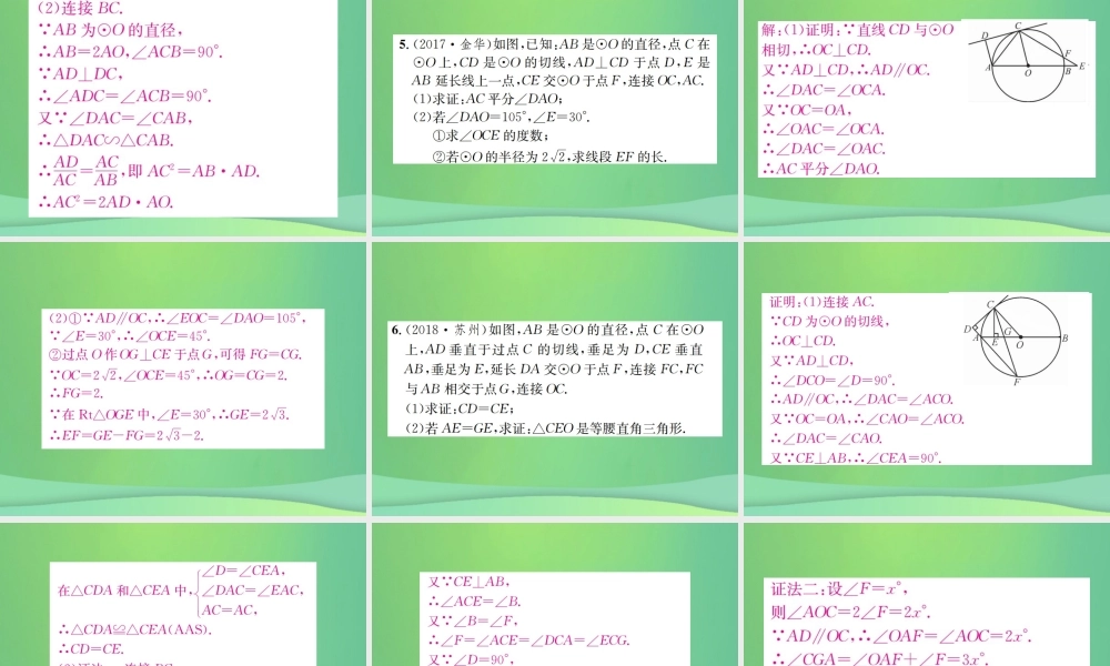 中考数学复习 第六单元 圆 滚动小专题(七)课件