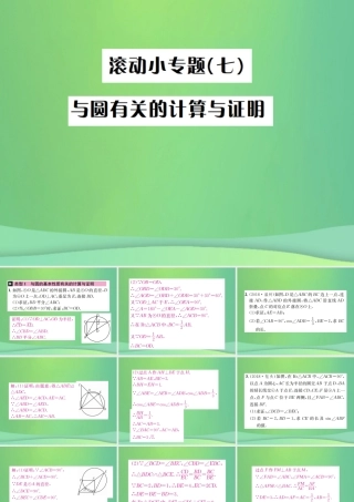 中考数学复习 第六单元 圆 滚动小专题(七)课件