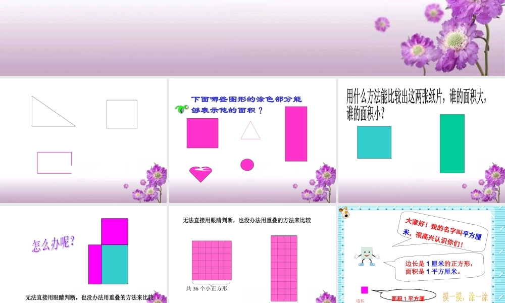 三年级数学面积和面积单位