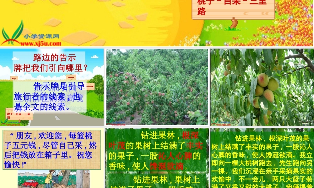 北师大版五年级语文下册《信任3》PPT课件