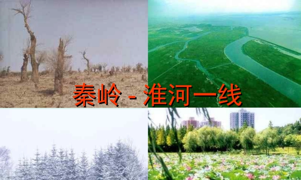 四大区域之一秦岭(课件)