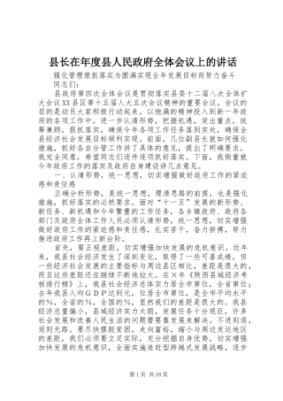 县长在年度县人民政府全体会议上的讲话