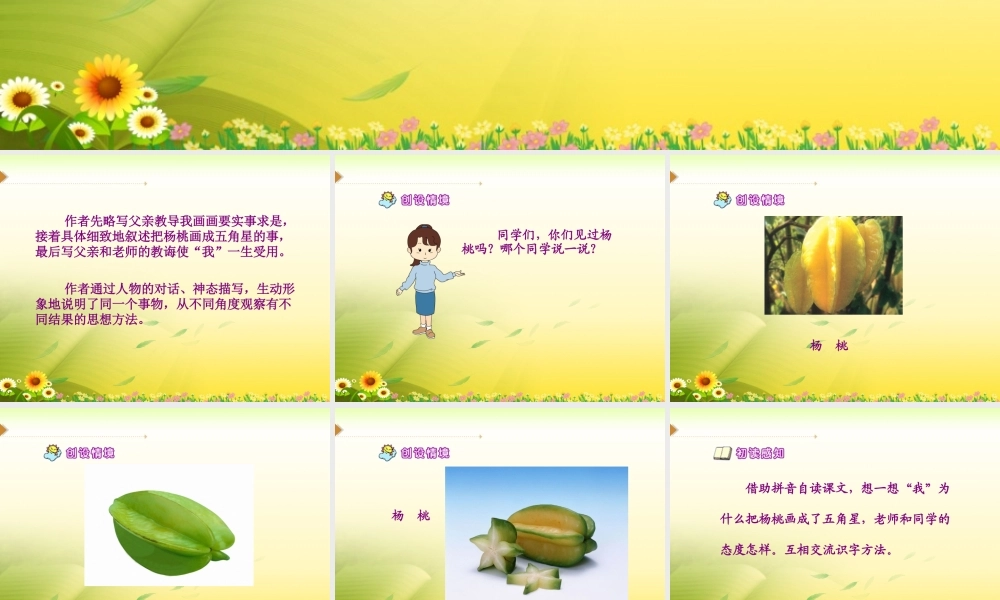 《画杨桃》教学课件1