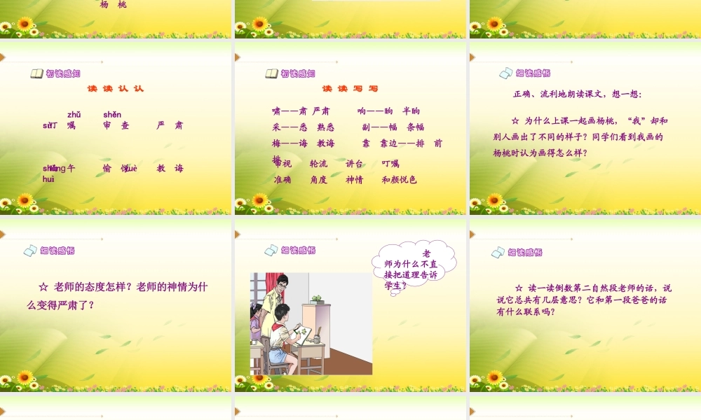 《画杨桃》教学课件1
