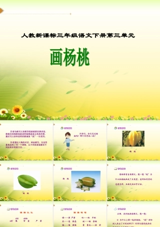 《画杨桃》教学课件1