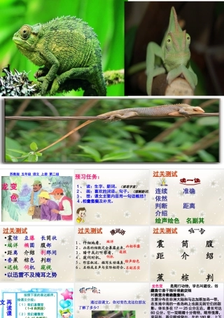 变色龙（第一课时）