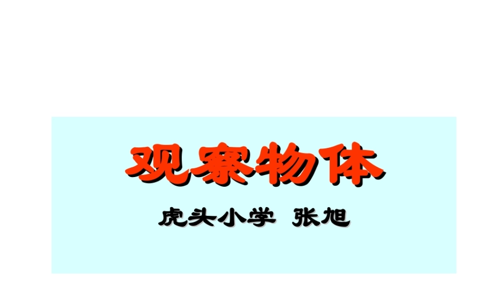 观察物体PPT